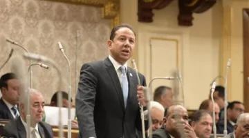 النائب حسن عمار: تصريح وزارة الخارجية كشف حملات التشويه وأكد تأييد مصر للقضية الفلسطينية