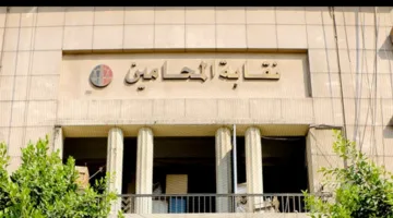 نقابة المحامين تؤسس أمانة فنية للتحضير للاجتماع الاستثنائي للجمعية العمومية في 21 يونيو الحالي.