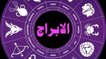رئيس مجلس الشيوخ: الشباب المصري هو الركيزة الأساسية للدولة الحديثة، وإدراكهم هو أقوى وسيلة لمواجهة التحديات.