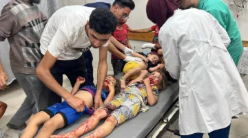 144 قتيلًا و560 مصابًا في غزة خلال 24 ساعة