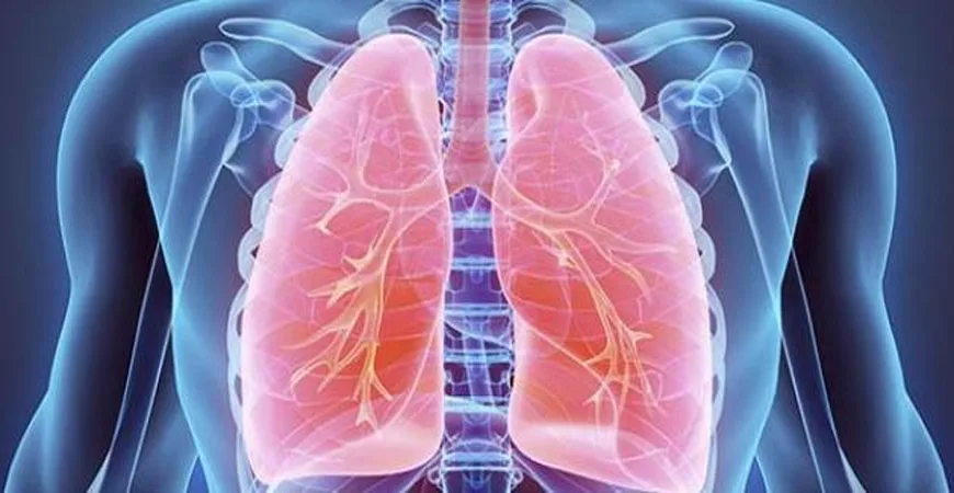 هل يعتبر صعوبة breathing في درجات الحرارة المرتفعة مؤشرًا على خطر؟ هل يعتبر صعوبة breathing في درجات الحرارة المرتفعة مؤشرًا على خطر؟
