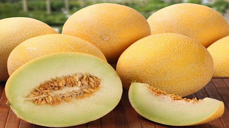 الشمام