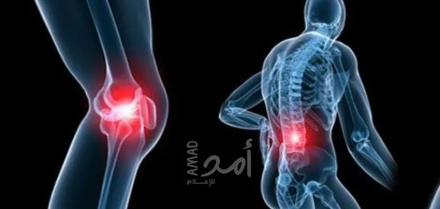 نصائح للحفاظ على صحة مفاصلِك نصائح للحفاظ على صحة مفاصلِك