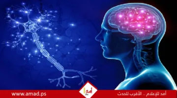 تاريخ نشأة مرض الزهايمر