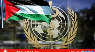 بعد غياب منذ مارس: منظمة الصحة العالمية تعلن عن وصول شحنات طبية إلى غزة