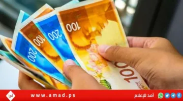 المالية: نستمر في العمل على صرف الدفعة الثانية من رواتب الموظفين في أقرب وقت.