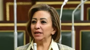 النائبة مها عبدالناصر تعبر عن معارضتها للموازنة العامة للدولة