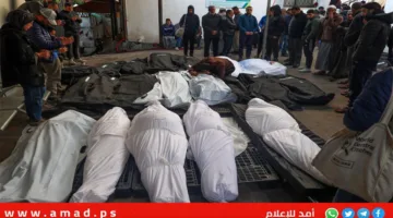 ارتفاع عدد الشهداء في العدوان على قطاع غزة إلى 56,156 وفقًا لوزارة الصحة