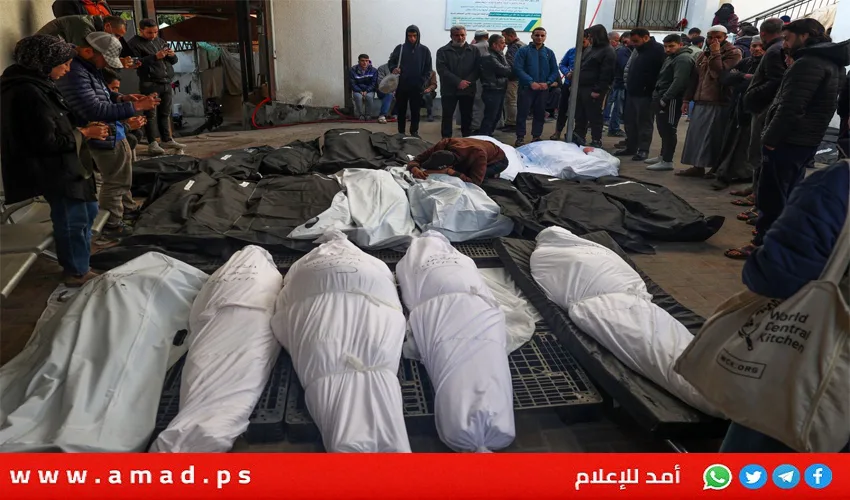 ارتفاع عدد الشهداء في العدوان على قطاع غزة إلى 56,156 وفقًا لوزارة الصحة