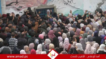 احتلال يقتل 8 مدنيين من “طابور الجوعي” أمام مراكز الإغاثة في رفح