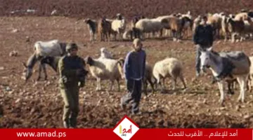 جيش الاحتلال يستمر في هجماته على مخيمات ومدن الضفة الغربية