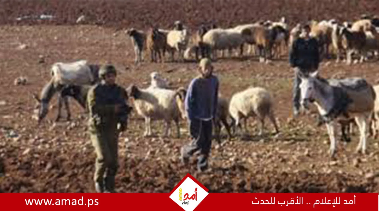 جيش الاحتلال يستمر في هجماته على مخيمات ومدن الضفة الغربية جيش الاحتلال يستمر في هجماته على مخيمات ومدن الضفة الغربية