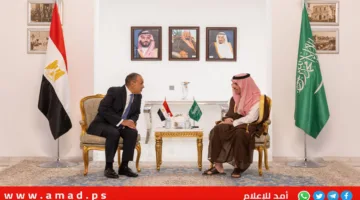 وزيرا خارجية مصر والسعودية يناقشان جهود التهدئة في غزة ويشددان على رفض التهجير