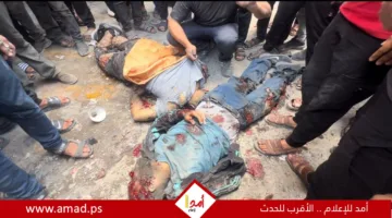 شهداء وجرحى نتيجة قصف إسرائيلي على دير البلح ومخيم البريج