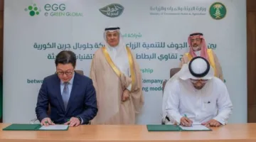 اتفاقية لتأسيس إنتاج محلي لشتلات البطاطس
