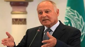 أبو الغيط: وثيقة بطرس غالي للسلام تمثل فكرة شاملة لدعم الدبلوماسية الوقائية
