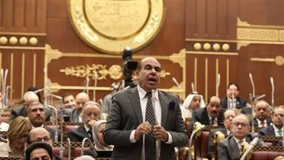 النائب ياسر الهضيبي: حماية البيئة أصبحت ضرورة ملحة وليست ترفًا النائب ياسر الهضيبي: حماية البيئة أصبحت ضرورة ملحة وليست ترفًا