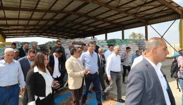 وزير الزراعة ومحافظ الشرقية ورئيس البنك الزراعي يتابعون عملية تسليم القمح في مستودعات البنك بالشرقية وزير الزراعة ومحافظ الشرقية ورئيس البنك الزراعي يتابعون عملية تسليم القمح في مستودعات البنك بالشرقية