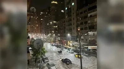 عروس البحر الأبيض المتوسط تحت تأثير التغير المناخي: عاصفة شديدة تكشف عن المخاطر في الإسكندرية