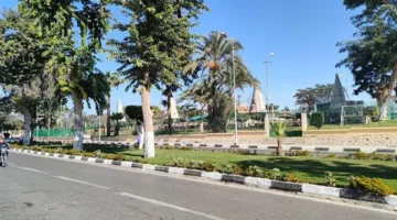 توقعات الطقس اليوم الأحد 1 يونيو 2025 في مصر | درجات الحرارة الحالية