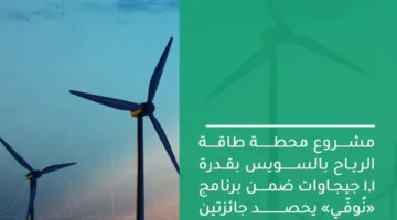المشاط: مشروع محطة توليد الطاقة من الرياح في السويس بقدرة 1.1 جيجاوات يحقق نجاحات عالمية