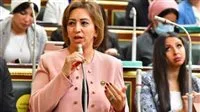 أول تصريح برلماني بشأن التنقيب عن الآثار في قصر ثقافة الأقصر