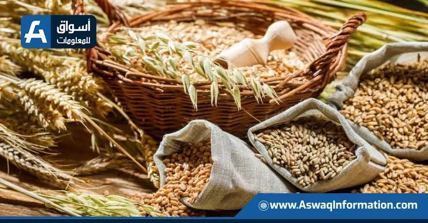 المنظمة العالمية للحبوب تزيد من توقعاتها للإنتاج والاستهلاك خلال موسم 2026 المنظمة العالمية للحبوب تزيد من توقعاتها للإنتاج والاستهلاك خلال موسم 2026