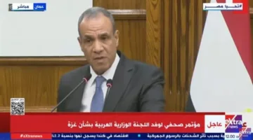 وزير الخارجية: إقرار فرنسا بالدولة الفلسطينية يمنح الأمل لشعبها