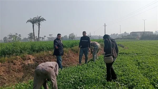 “الزراعة” تشرع في تنفيذ استراتيجيات الدمج بين الزراعة الآلية وتحسين الأراضي لدعم المزارعين.