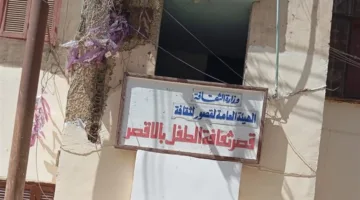 وزير يعثر على جريمة تتعلق بالآثار بالصدفة
