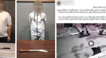 كشف ملابسات اعتداء رجلين على سيدة وطفلها بسلاح أبيض في المطرية – فيديو