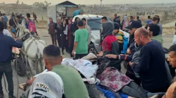 عاجل.. طبيب أسترالي: ضحايا مركز توزيع المساعدات في رفح أصيبوا بطلقات نارية في الرأس والصدر