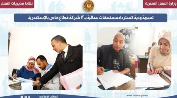 تسوية سلمية لاستعادة حقوق موظفين من 12 شركة خاصة في الإسكندرية