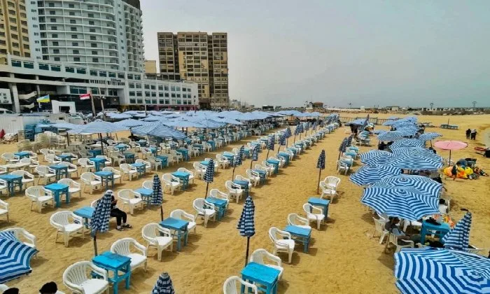 الإسكندرية تُعلن عن تحضيراتها لاستقبال عيد الأضحى وموسم الصيف.