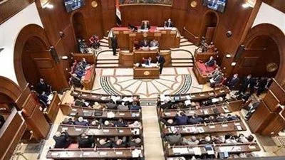 النائب عبد المجيد الأشقر يناقش طلبه حول الاقتصاد الأزرق خلال الجلسة العامة. النائب عبد المجيد الأشقر يناقش طلبه حول الاقتصاد الأزرق خلال الجلسة العامة.