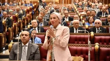 رئيس لجنة الطاقة في مجلس الشيوخ يهنئ وزيرة البيئة بمناسبة تعيينها أمينًا تنفيذيًا لاتفاقية الأمم المتحدة لمكافحة التصحر.