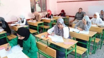 اختلاف وجهات نظر طلاب الشهادة الإعدادية في القليوبية حول نتيجة امتحان اللغة الإنجليزية