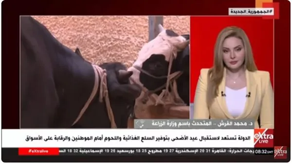 متحدث وزارة الزراعة: تدابير قوية للتصدي لزيادة أسعار اللحوم متحدث وزارة الزراعة: تدابير قوية للتصدي لزيادة أسعار اللحوم