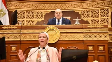 نائب في مجلس الشيوخ يوجه حديثه لوزيرة البيئة: “أنا من الإسكندرية، وما شهدناه في العاصمة لا يمكن وصفه.. الحمد لله على كل شيء”