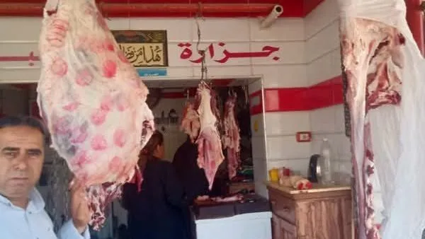 إدارة تموين أولاد صقر في الشرقية تعزز جهودها لمراقبة الأسواق وتسجيل محاضر للمخالفين. إدارة تموين أولاد صقر في الشرقية تعزز جهودها لمراقبة الأسواق وتسجيل محاضر للمخالفين.
