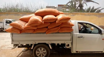 في ظل إجراءات صارمة، البحيرة تواصل عمليات توريد محصول القمح المحلي.
