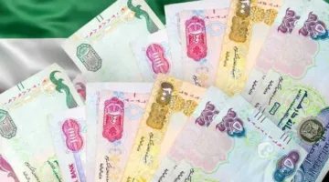 سعر الدرهم الإماراتي مقابل الجنيه المصري اليوم الإثنين 2 يونيو 2025
