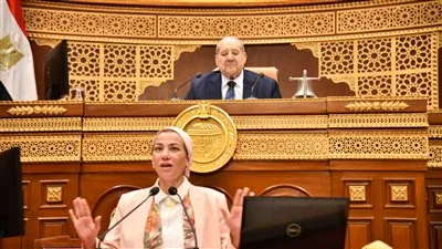 وزيرة البيئة أمام مجلس الشيوخ: أحداث الإسكندرية ليست غير متوقعة.. دلتا مصر واحدة من أكثر الدلتات عرضة للخطر في العالم. وزيرة البيئة أمام مجلس الشيوخ: أحداث الإسكندرية ليست غير متوقعة.. دلتا مصر واحدة من أكثر الدلتات عرضة للخطر في العالم.