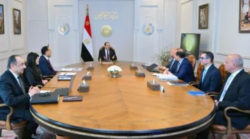 عاجل.. الرئيس السيسي يوجه بتحسين أداء شركات الدولة وزيادة التعاون مع القطاع الخاص