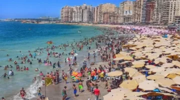 الإدارة المركزية للسياحة والشواطئ في الإسكندرية تكشف عن استعداداتها للاحتفال بالعيد