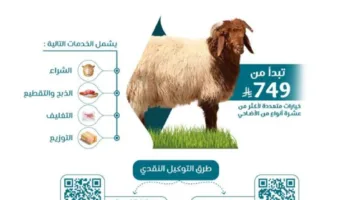 بر الشرقية تدشن مشروع الأضاحي باستخدام تقنيات حديثة