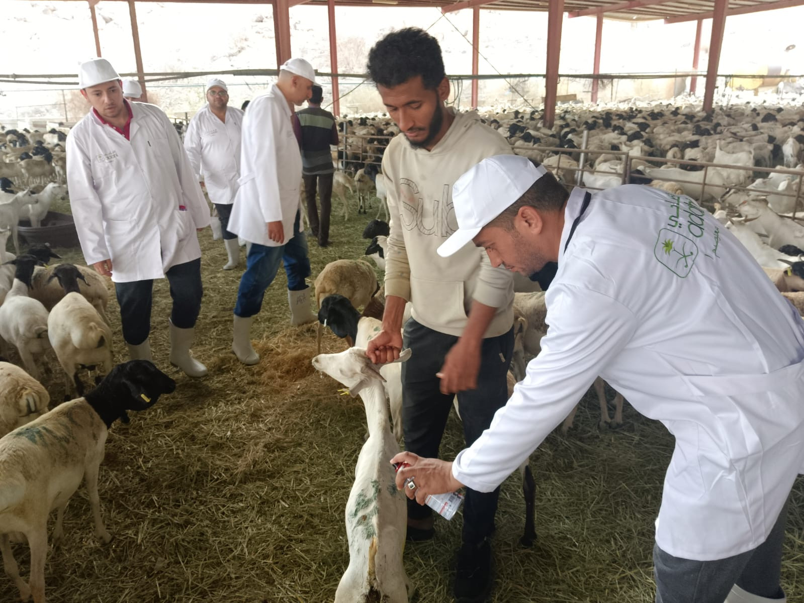 الزراعة
