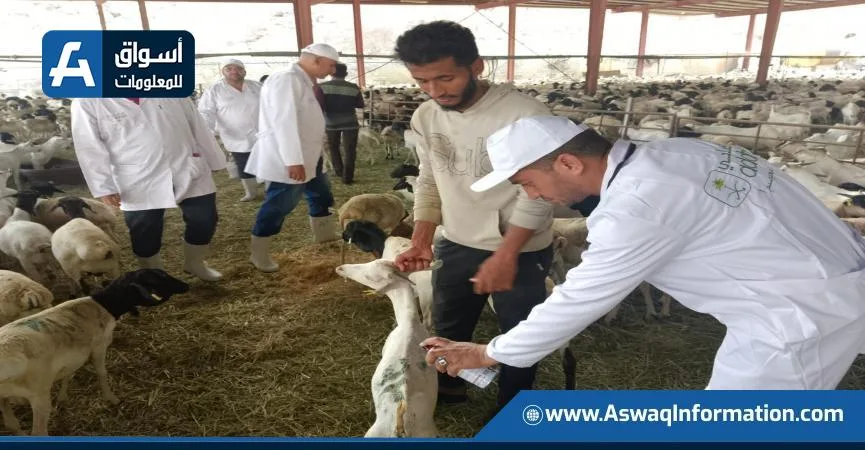 تشمل 220 طبيبًا.. وزير الزراعة يتابع أنشطة البعثة البيطرية في الأراضي المقدسة تشمل 220 طبيبًا.. وزير الزراعة يتابع أنشطة البعثة البيطرية في الأراضي المقدسة