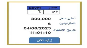 سعرها 800 ألف جنيه.. منافسة قوية على لوحة سيارة فريدة