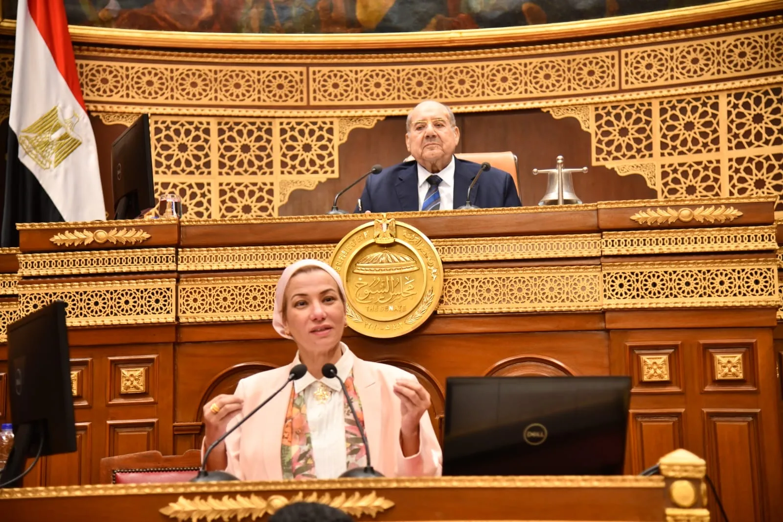 وزيرة البيئة تبحث تأثير التشريعات على قانون المحميات الطبيعية وزيرة البيئة تبحث تأثير التشريعات على قانون المحميات الطبيعية